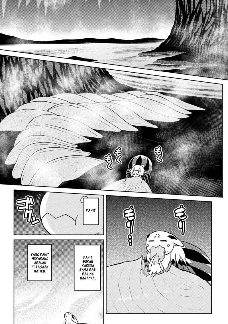 Kumo desu ga, Nani Ka?